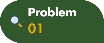 Problem 01